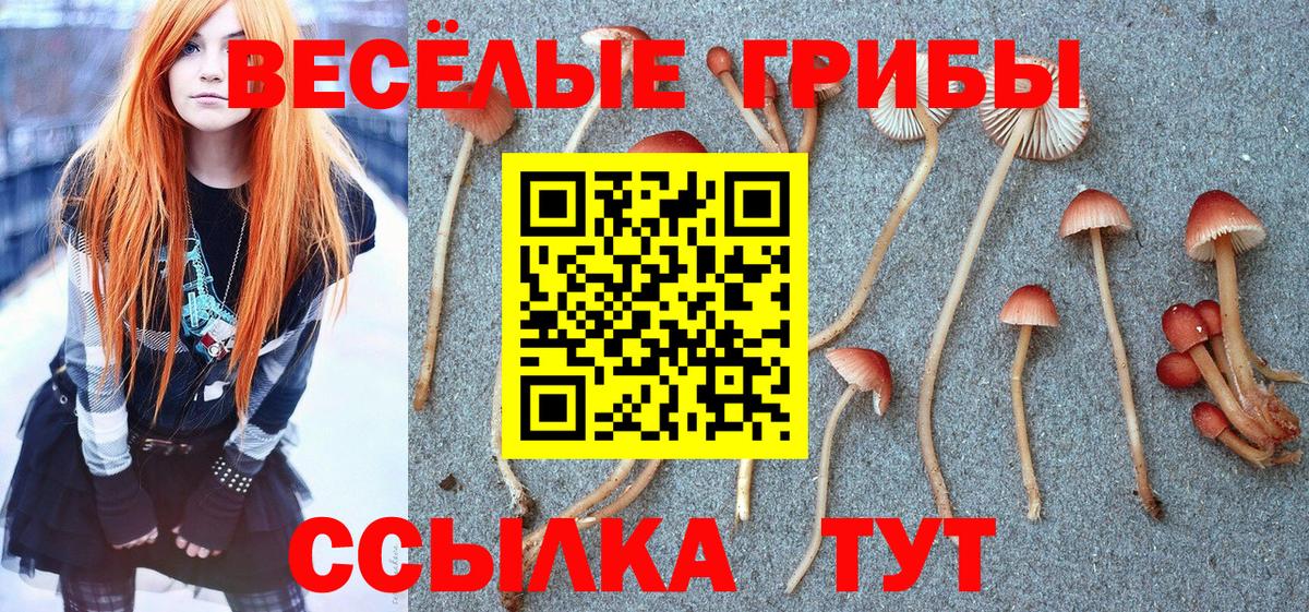 купить  цена  Вход с VPN  Абинск  Галлюциногенные грибы Magic Shrooms  Псилоцибиновые грибы MAGIC MUSHROOMS 