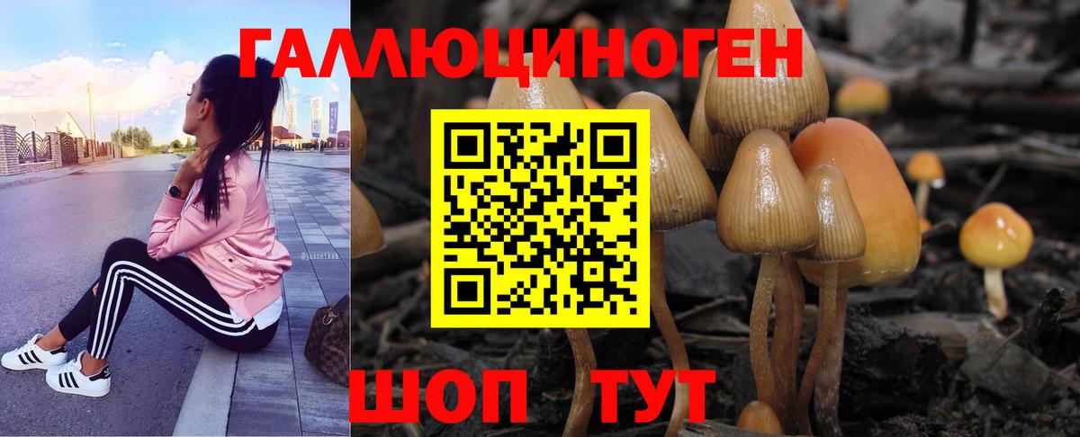 Псилоцибиновые грибы MAGIC MUSHROOMS Абинск