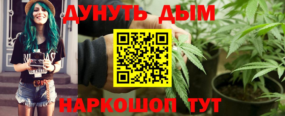 Канабис семена  Вход с VPN  Бошки Шишки семена  МАРИХУАНА Amnesia  Абинск 
